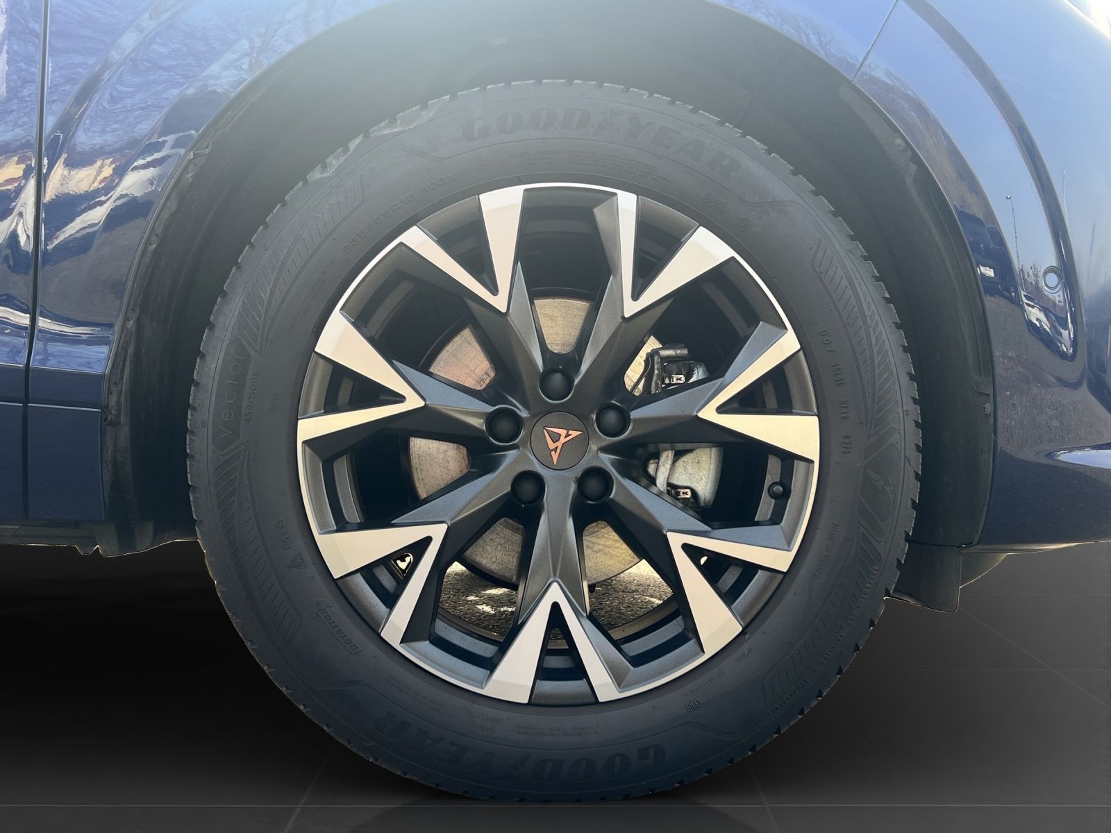 Cupra Terramar - Bild 7