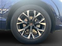 Cupra Terramar - Vorschau Bild 7