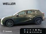 Lexus UX 300h Tech.Paket*dig CP*SHZ*Kamera*TWA*CarPlay - Lexus UX 300h Gebrauchtwagen