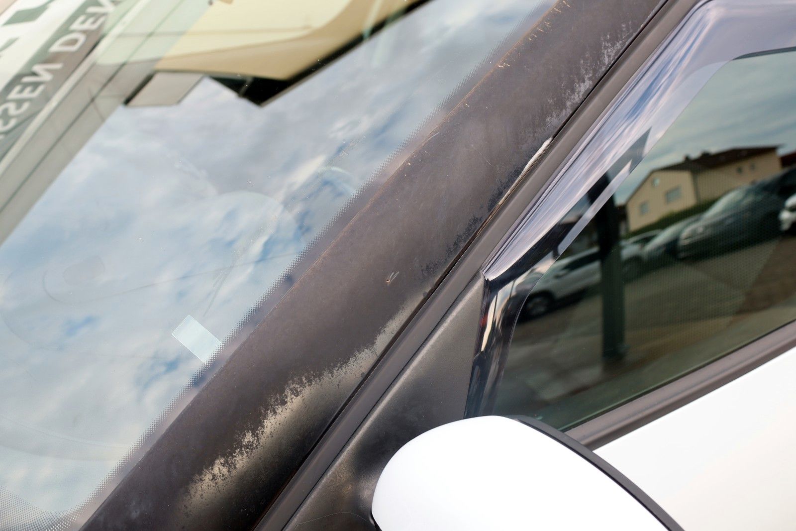 Fahrzeugabbildung SKODA Roomster Scout SH,PDC,Panorama