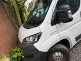Fiat Ducato  2,3  Diesel  2020 - Fiat Ducato