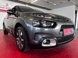 Citroën C4 Cactus VTR Sport *AppleCarPlay + Navi + LED* - Citroën C4 Cactus mit Panoramadach