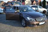 Mercedes-Benz E 350 T BlueTec 4Matic 7G-Tronic Avantgarde AHK/ - Mercedes-Benz E 350 in Bremen
