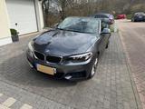 BMW 218i Cabrio Sport Line Sport Line - BMW mit Benzin-Antrieb: Alcantara, Cabrio