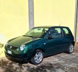 Volkswagen Lupo 1.4 Benzina - OK NEOPATENTATI - gebrauchte VW Lupo aus dem Jahr 2001