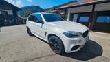 BMW X5 xDrive 3.0 Diesel 258 PS M-Paket  - BMW X5 mit Diesel-Antrieb: 3.0