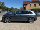 Audi SQ5 3.0 TDI Competition | Pano | Bose | TÜV neu - Audi SQ5: TDI