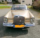 Mercedes-Benz 220 - Mercedes-Benz 220 mit Benzin-Antrieb: Leder
