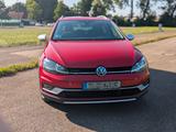 Volkswagen Golf 2.0 TDI 135kW SCR DSG 4MOTION Alltrack ... - Volkswagen Golf mit Diesel-Antrieb: 1.4
