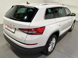 Skoda Kodiaq 2.0 TDI 4x4 DSG Style EU6d-T Navi LED PDC - weiße Skoda Kodiaq