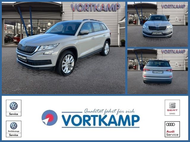 Skoda Kodiaq Active SmartLink/Amundsen