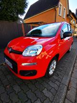 Fiat New Panda 1.2 8V POP POP - Fiat New Panda: Kleinwagen