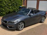 BMW 220i Cabrio Luxury Line Luxury Line - BMW 220 in Duisburg