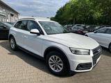 Audi Q5 35 TDI 2,0 TDI S-tronic - Audi Q5: Weiß