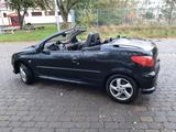 Peugeot 206 CC Cabrio Leder Kamera gepflegt - Peugeot 206 in Magdeburg