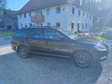 Skoda Octavia 2.0 TDI 81kW Family Combi Family - Skoda Octavia: 81 Kw