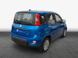 Fiat Panda 1.0 GSE Hybrid Radio/Tempomat/PDC - Fiat Panda: Kombi