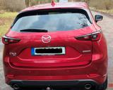 Mazda CX5 Sports-Line Plus AWD AHK LED Bose - Mazda CX-5 mit Panoramadach