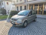 Fiat Panda 1.2 Alessi - Fiat Panda Alessi mit Benzin-Antrieb