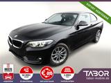 BMW 2er 218i Advantage  LED Leder Schiebe SHZ - BMW: Coupe, 2er