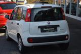 Fiat Panda Urban Hybrid 1.0 GSE/Klima/Radio/Bluetooth - Fiat Panda: 1.1