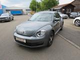 Volkswagen Beetle Lim. Basis Navi Klimaautomatik PDC SHZ - Volkswagen Beetle in Stuttgart