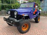 Jeep CJ V8 4.9 H-Zulassung Restauriert - Jeep Oldtimer