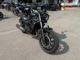 Kawasaki Eliminator 500 Modell 2026 - KAWASAKI ELIMINATOR