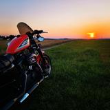 Harley-Davidson XL 1200 R / XL 883 R - HARLEY-DAVIDSON 883 R