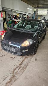 Fiat Punto 1.2 Zahnriemen, Klima, Reifen, Service neu - Fiat Punto in Frankfurt (Main)