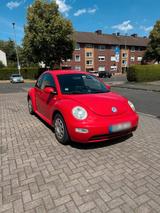 Volkswagen New Beetle 1.6 Standard - gebrauchte Volkswagen New Beetle aus dem Jahr 2000