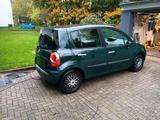 Renault Modus 1.6 16v Automatik 1 Jahr TÜV... - Renault Modus: Automatik