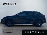 Lexus UX 250h Amazing Edition *Bi-LED*ACC*CAM*CarPlay* - Lexus UX Gebrauchtwagen