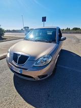 Lancia Ypsilon 1.2 Argento solo km.126000 - Lancia Ypsilon aus 2009