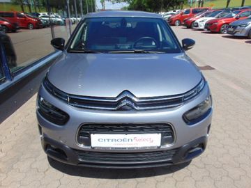 Bild 3 Citroën C4 Cactus Shine