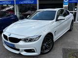 BMW 435d xDrive M Sport Paket /GsD/Vollleder/Navigat - BMW 435: M Paket