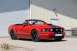 Ford Mustang GT 4.6 Cabrio V8 Tüv Neu - Ford Mustang in Ludwigshafen