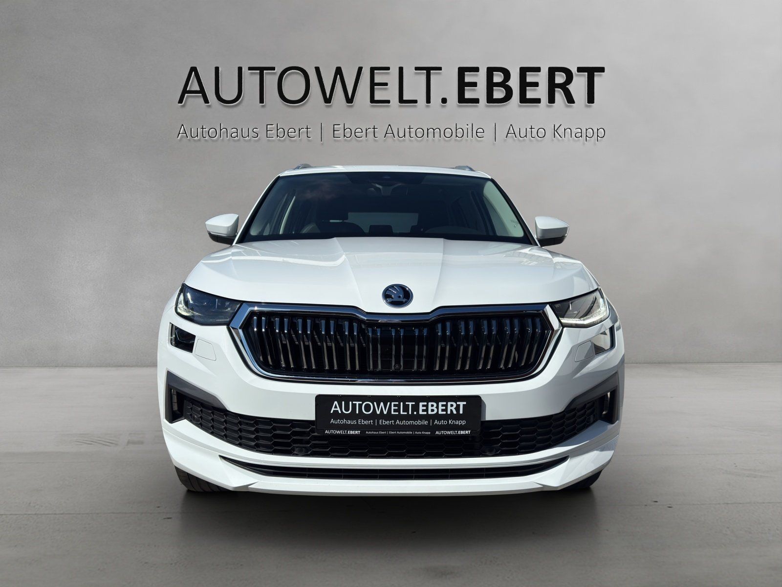 Fahrzeugabbildung SKODA Kodiaq 2.0 TDI L&K 4x4/ST-HZG/ACC/AHK/360°CAM/
