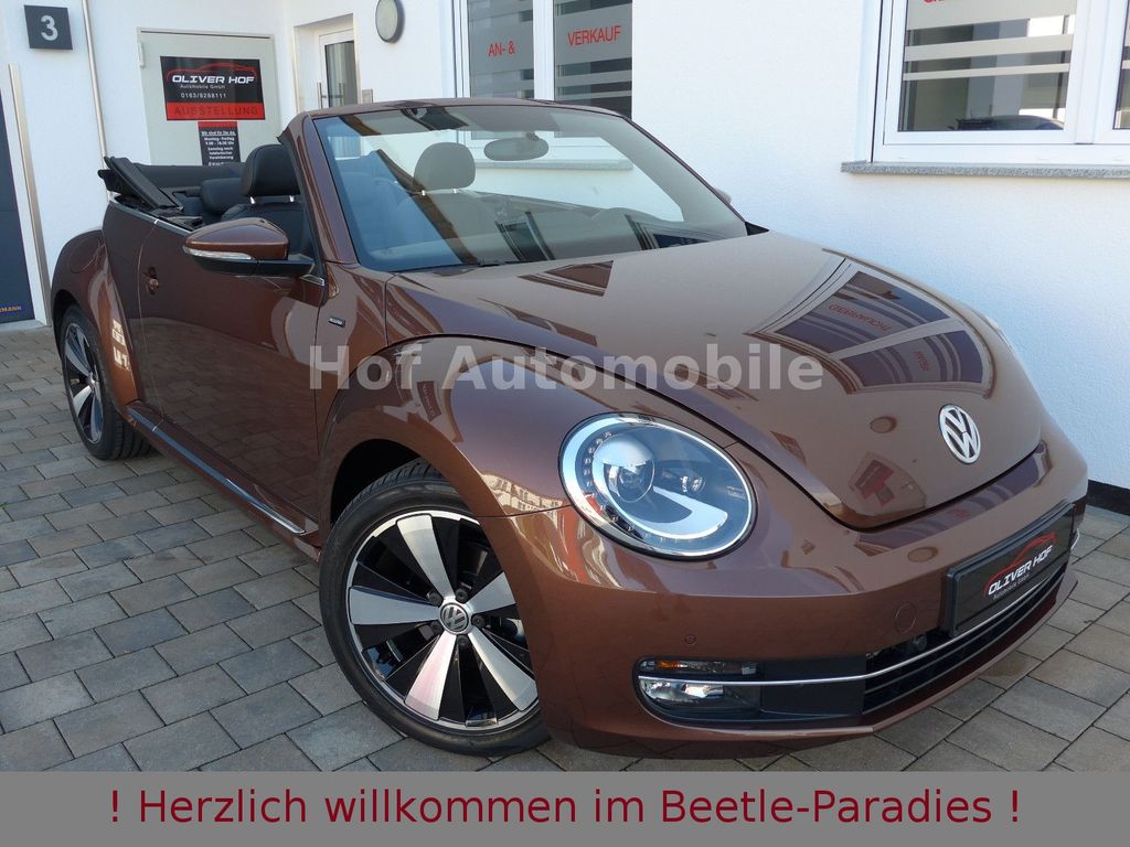 Image of Volkswagen Beetle