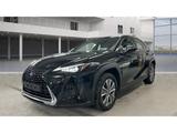 Lexus UX 300e Premium Kamera App-Navi LED Leder Sitzkl - Lexus Gebrauchtwagen von 2022