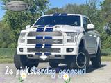 Ford F 150 USA F150 Shelby - Ford: Usa