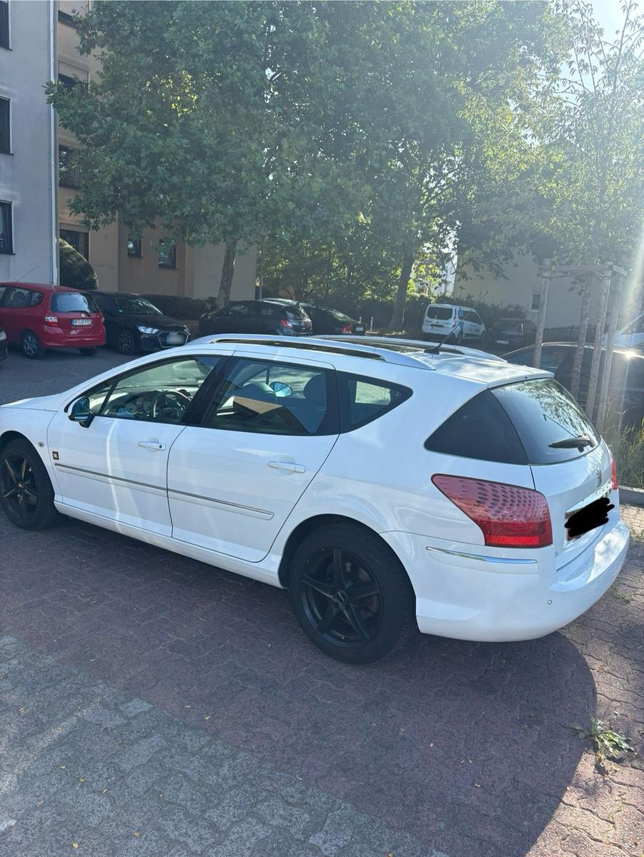 Peugeot 407 2010 — rear view