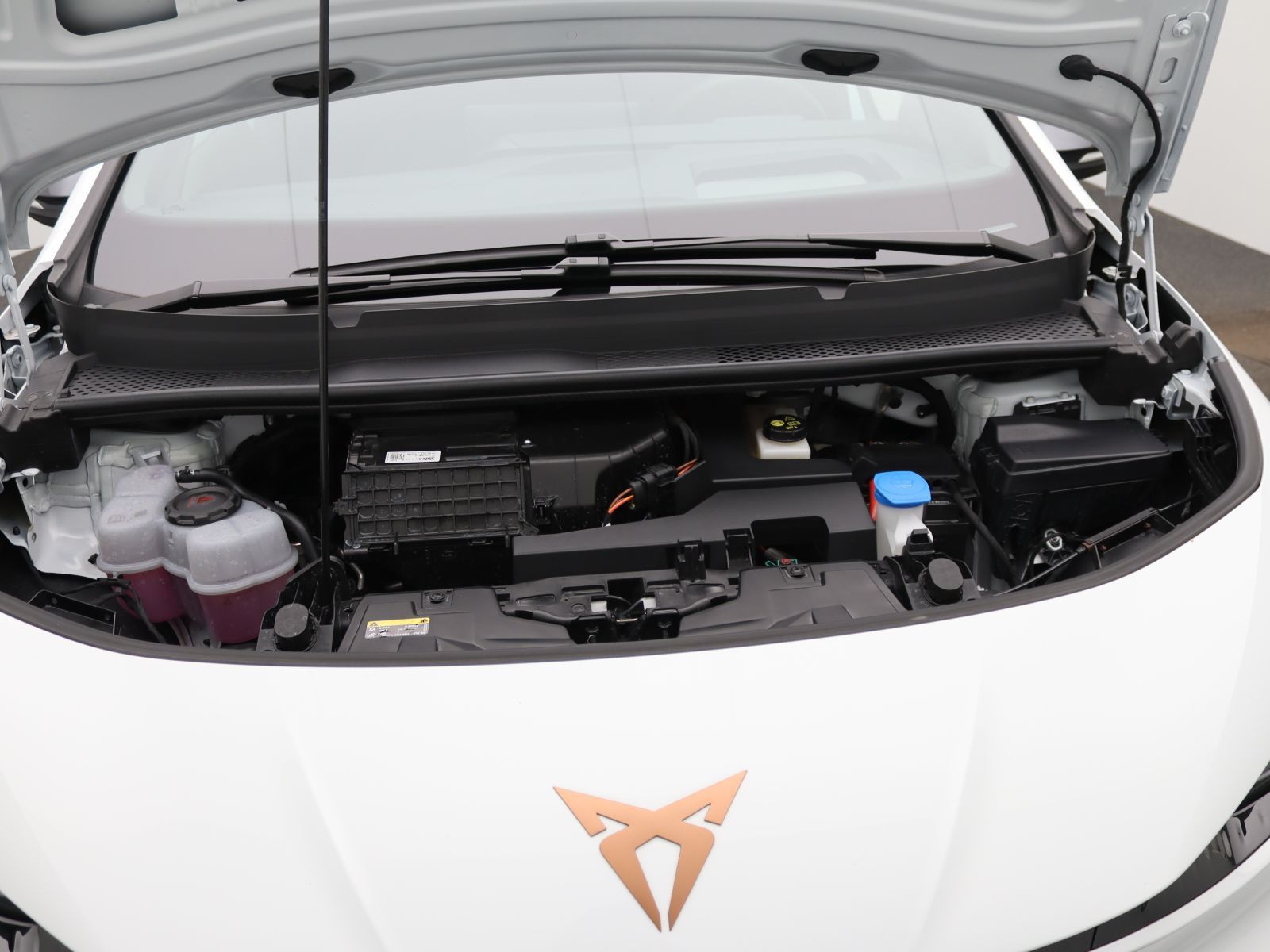Cupra Born - Bild 19