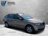 Skoda Octavia Combi Active - Skoda Octavia Active mit Diesel-Antrieb