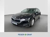 Skoda Octavia M-HEV 1,5l TSI DSG *SHZ AHK RFK*