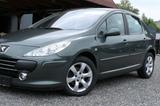 Peugeot 307 Oxygo HDI 4,5 Liter auf 100Km - Peugeot 307: Oxygo