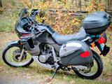 Honda Transalp XL 600 V  PD 10 - HONDA XL 600V TRANSALP