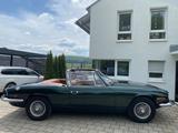 Triumph Stag V8 TÜV Neu Cabrio Oldtimer H Kennzeichen - Triumph: Stag