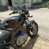 Suzuki GS 500  - Offers matching your search criteria