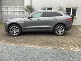 Jaguar F-Pace 25d AWD R-Sport Automatik R-Sport - Jaguar F-Pace in Hannover
